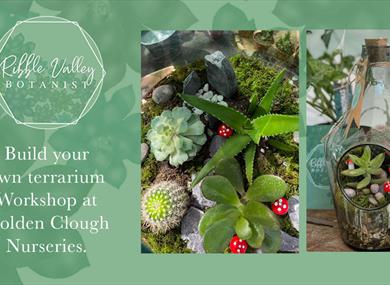 Terrarium Workshop