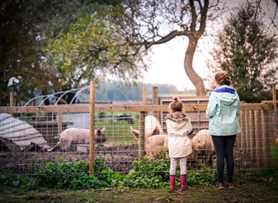 Mini Farmers Club