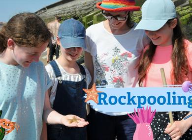 Rockpool Ramble