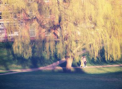 Winckley Square