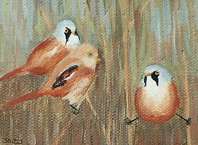 Silverdale Art Group Annual Exhibition