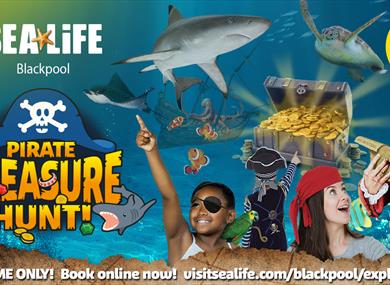 Pirate Treasure Hunt