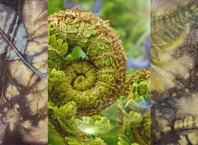 Inside Out: Eco Printing & Mindfulness