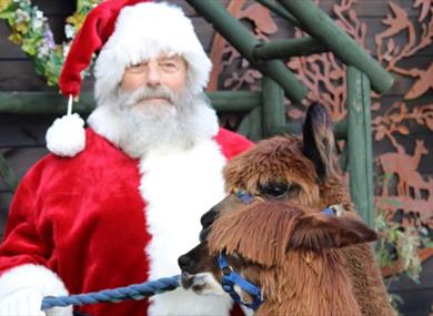 Santa at Lowlands Farm