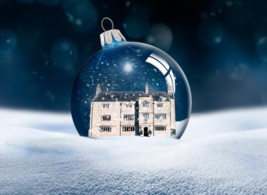 Festive Shared Party night