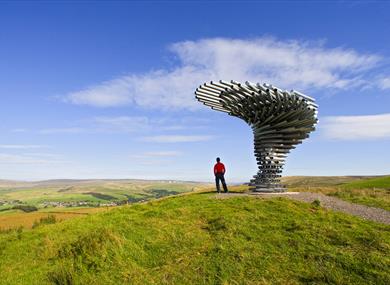 Singing Ringing Tree - Panopticon