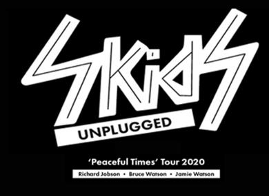 The Skids (Unplugged)