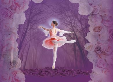 Sleeping Beauty - Ballet
