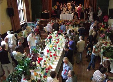 Annual Flower Show