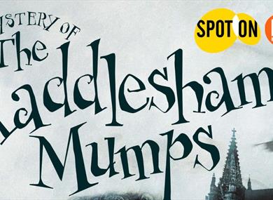 The Mystery Of The Raddlesham Mumps by Murray Lachlan Young