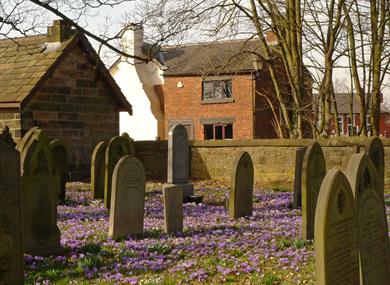 Crocus Sunday 2019 - and local history walk