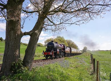 Spring Steam Gala