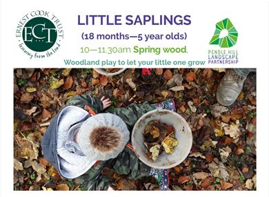 Little Saplings