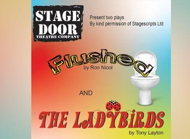 Stage Door Theatre Company presents "Flushed" and "Ladybirds"