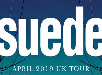 Suede