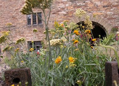 Foraging in the local area of Helmshore