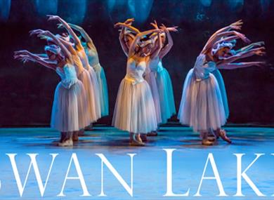 Swan Lake