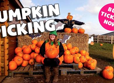 Halloween & Pumpkin Picking