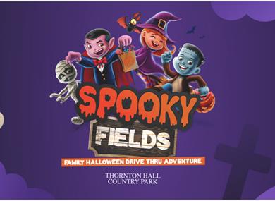 Spooky Fields