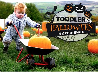 Toddler Halloween Experience