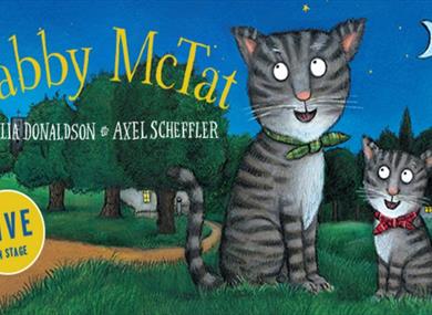 Tabby McTat