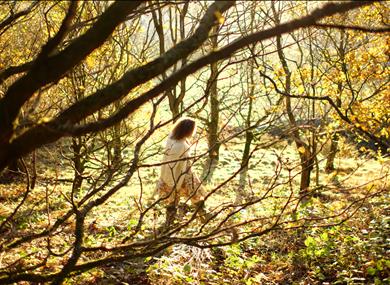 Springtime Herbal Walk