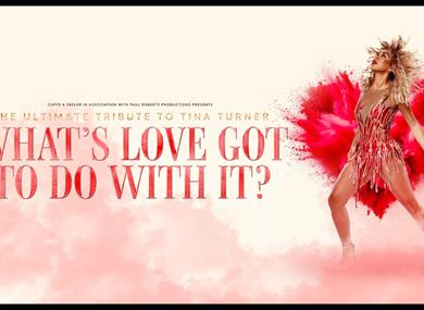 What's Love Got To Do With It?