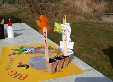 Nature Tots at Heysham Nature Reserve