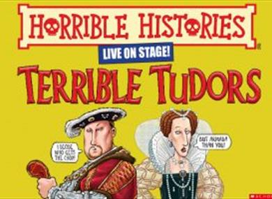 Horrible Histories, Terrible Tudors