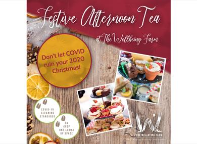 Festive Afternoon Tea and Meet The Llamas