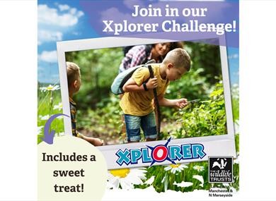 Xplorer Challenges
