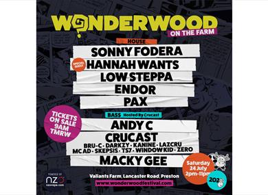 Wonderwood promotional poster
