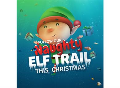 Naughty Elf Trail at SEA LIFE Blackpool