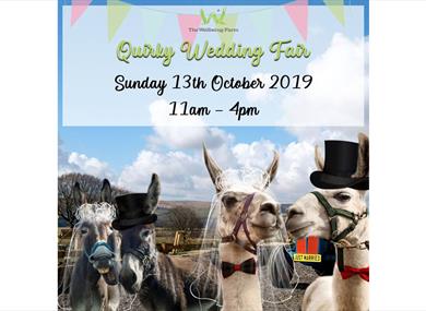 Quirky Wedding Fair