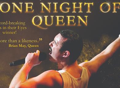 One Night of Queen