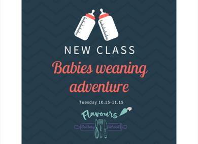 Baby Weaning adventure class