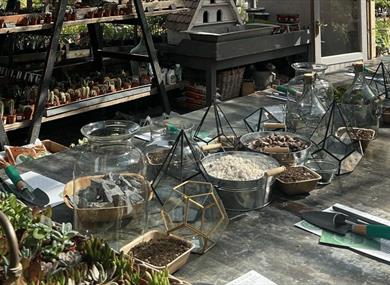 Terrarium Planting Workshop