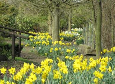 Easter Family Fun Day at Gibbon Bridge Hotel