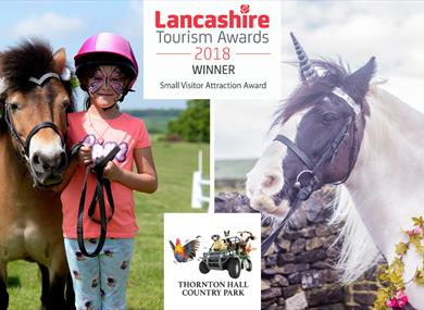 Pony World at Thornton Hall Country Park