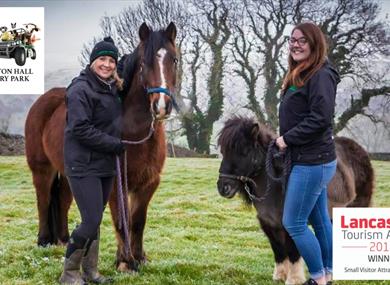 Pony World at Thornton Hall Country Park