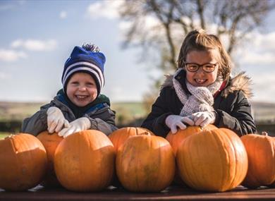 Halloween and Pumpkin Picking Patch at Thornton Hall Country Park