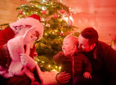 A Toddler Christmas Experience at Thornton Hall Country Park