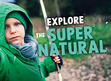 October Half Term Activities at WWT Martin Mere