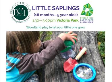 Little Saplings
