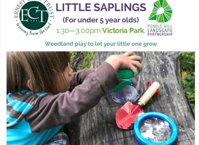 Little Saplings