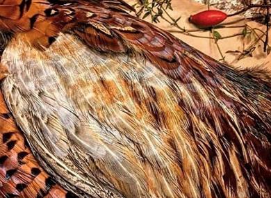 The Rewilding: Rewild Yourself Game Prep, Fire Skills & Seasonal Lunch