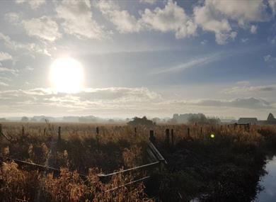 Guided Walks at WWT Martin Mere