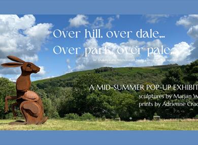 Sculptures at Wyresdale Park: A Midsummer Pop-up Exhibition