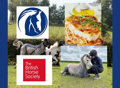 Behind the Scenes at Penny Farm World Horse Welfare