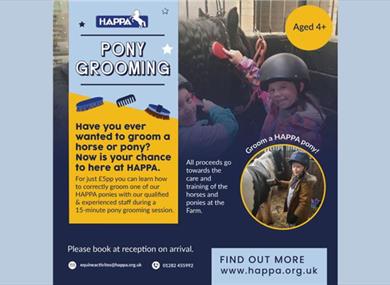 Pony Grooming at HAPPA